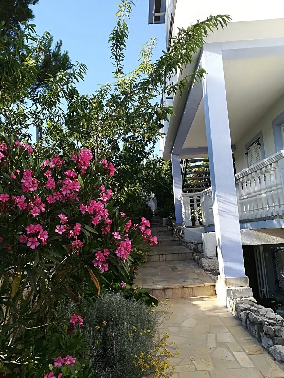Apartmani Maričić — vrt i staza do ulaza